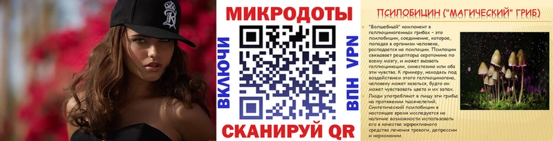 Псилоцибиновые грибы Psilocybe  Суровикино 